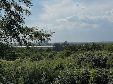London from the Lea Valley.